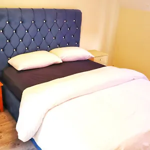 Deluxe Dwelling - 15 Mins From City/airport Homestay